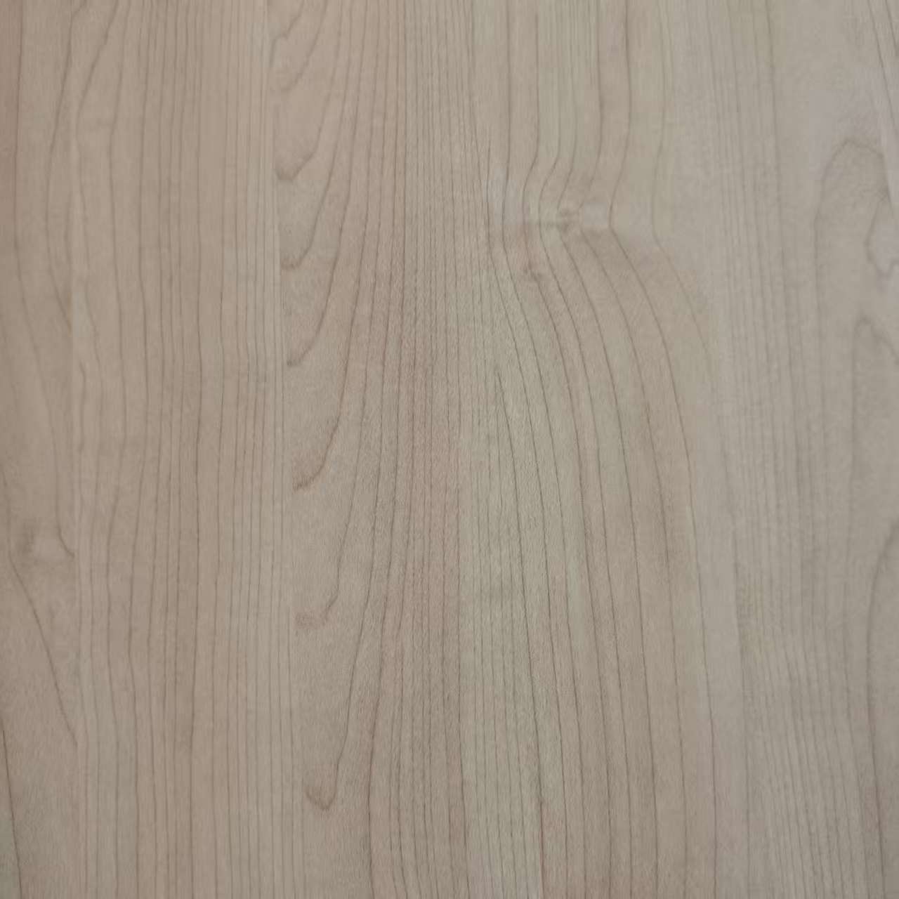 মেলামাইন পেপার 8031-10